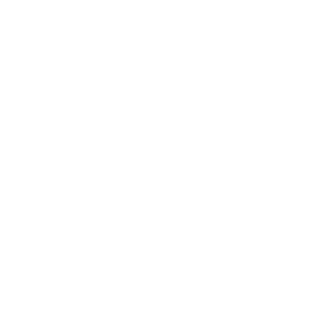 IBOSSIM logo and wordmark